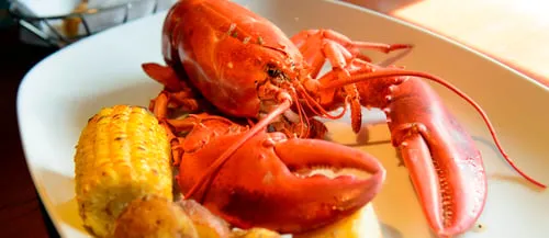Boiled Maine Lobster
