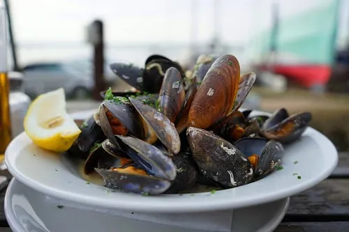 Moules marinière à la crème