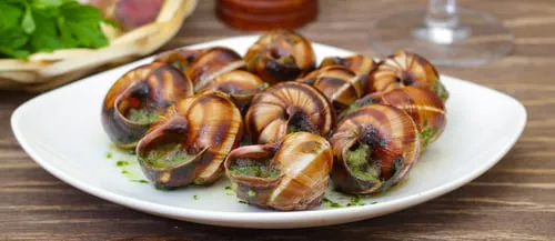 Escargot
