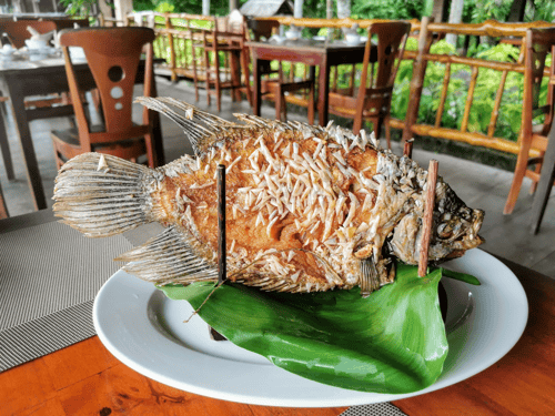 Deep-Fried Elephant Ear Fish (Cá tai tượng chiên xù)