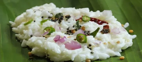 Curd Rice