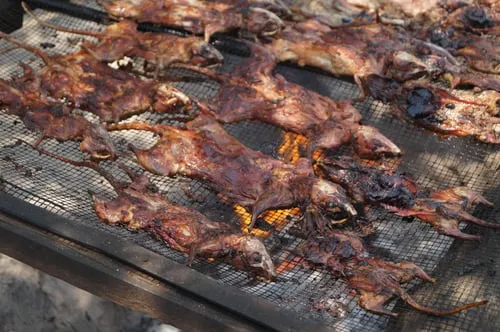 Fried Wild Rat with Basil