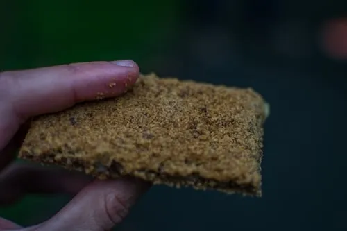 Grasmere Gingerbread