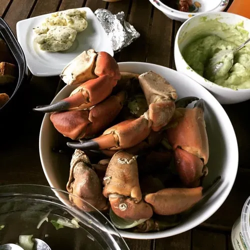 Helgoländer knieper