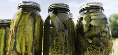 Kosher Pickles