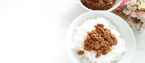 Braised Pork Rice (Lu rou fan)