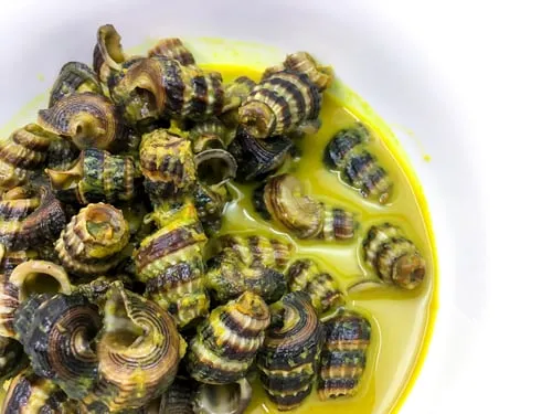 Sea Snails in Coconut Milk (Ốc len xào dừa)