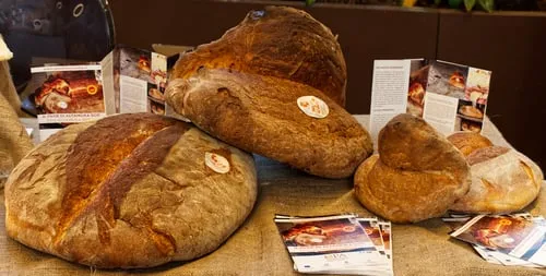 Pane di Altamura