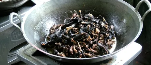 Paniki