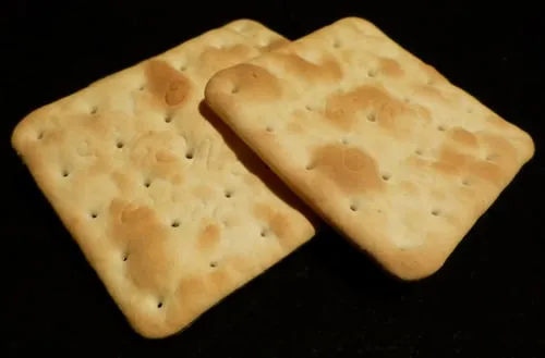 SAO Biscuits